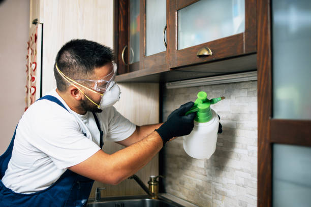 Best Pest Control for Homes  in Crafton, PA