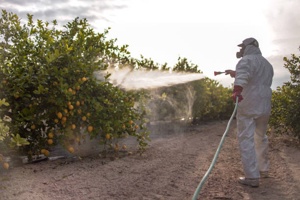 Best Mosquito Control Services  in Crafton, PA