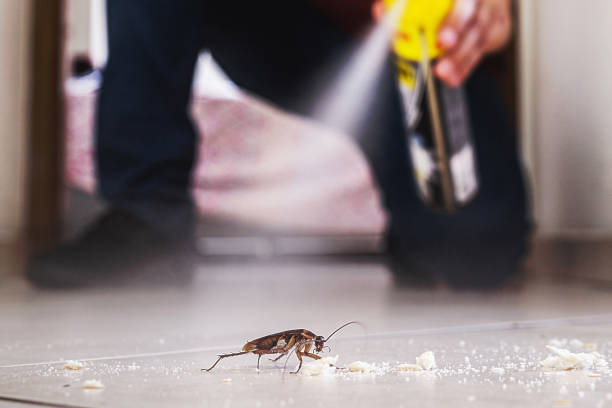Best Residential Pest Control  in Crafton, PA