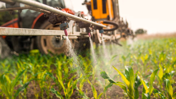 Best Ant Control Services  in Crafton, PA